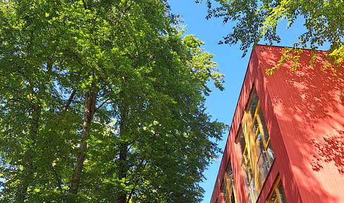 Living in Buchenwald - a modern 57 square meter apartment with a pleasant coolness in the summer.