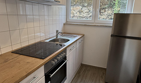 Renovated basement apartment with a 32 square meter terrace - ideal for personal use or as an investment property.