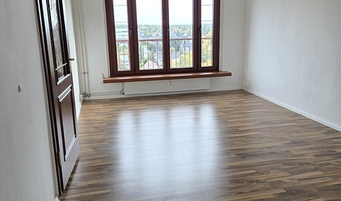 Large 1-room apartment in Berlin-Köpenick, with a separate room.
