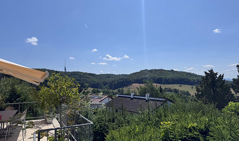 Einfamilienhaus mit Panoramablick auf Basel in Inzlingen