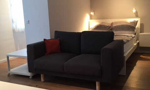 Renovated and furnished apartment! No move-in fees or commission!