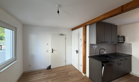 2-room apartment on the ground floor - brand new, having just been completely renovated.