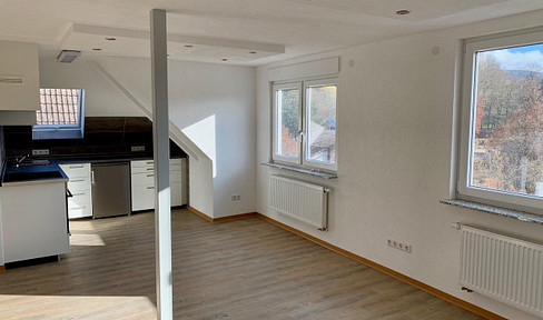 Charming 2-room apartment in a historic building with a stunning view, located in a central area of Aalen.