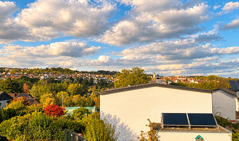 Terraced house with a view of the Neckar Valley - *NO COMMISSION*.