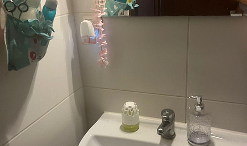 Gemütliches Appartement in Mainz ab 15.01.2027 Renovierung vorher.