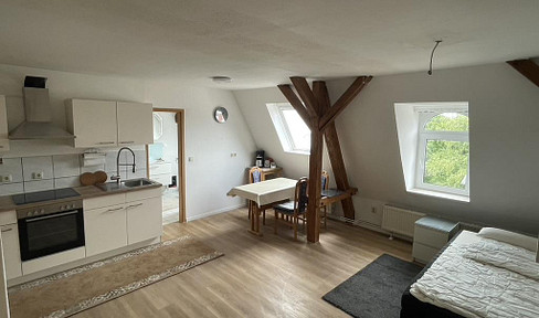 Charming one-room attic apartment with fitted kitchen in Leipzig-Lindenau.