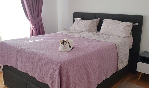 Quiet, bright 2-room apartment with parquet flooring, a balcony, and a kitchen.