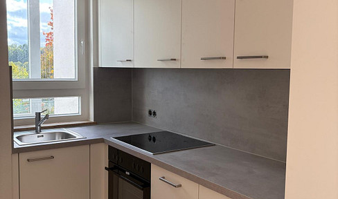 Attractive 2-room apartment, recently renovated.