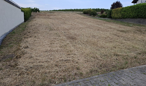 Dream location on the edge of a field! 550 m² building plot in Welgesheim – fully developed, for sale by offer.