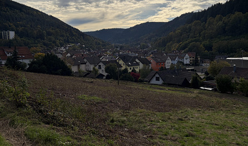A project close to our hearts, full of potential – 37 dream homes in Bad Wildbad-Calmbach.