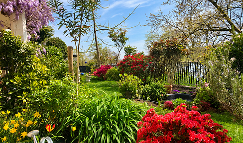 A haven of comfort right on the Rhine.
