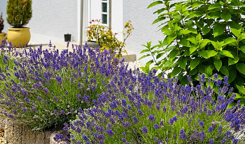 THOSE WHO COMPARE WILL RECOGNIZE THE DIFFERENCE: Generosity and living quality – without any commission fees.