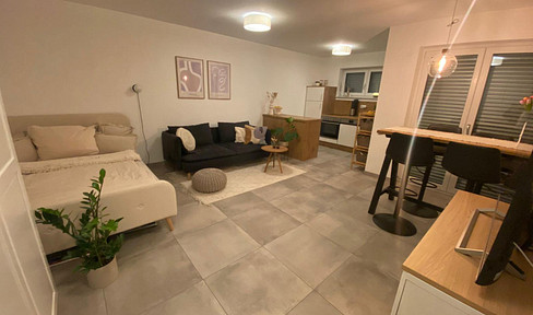 Schöne Einzimmerwohnung mit Terasse