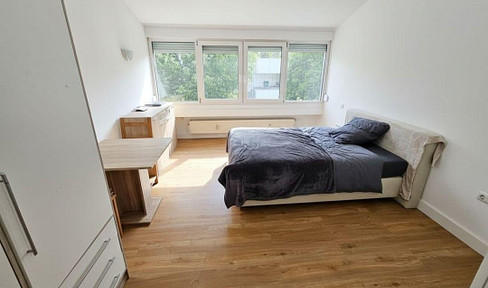 Furnished 1-bedroom apartment with a rooftop terrace and elevator in Nuremberg – approximately 24 square meters.