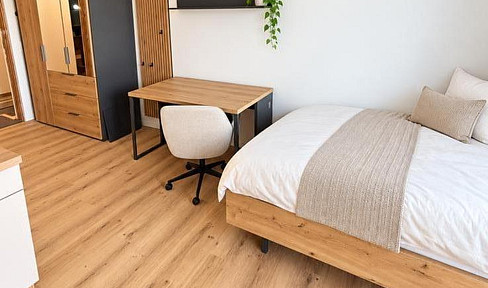 Erstbezug Modernes, möbliertes 1-Zimmer-Apartment mit Terrasse und Stellplatz in Passau-Kohlbruck