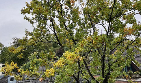 Zentrum Siegburg: Ruhige DG-Wohnung mit Michaelsberg-Blick und Terrasse, Sofort frei!