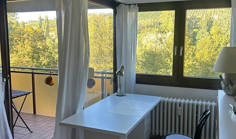 No agency fees: Furnished apartment with a balcony and vineyard views in Heidingsfeld, available immediately.