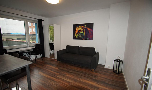 Furnished, newly renovated one-bedroom apartment for rent in a good location.