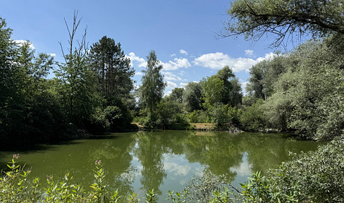 Picturesque pond-side property in Riedlingen, on the Danube River.