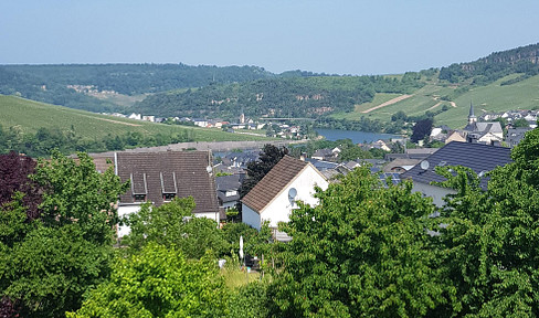 House with vineyard views - just a few minutes from Luxembourg.