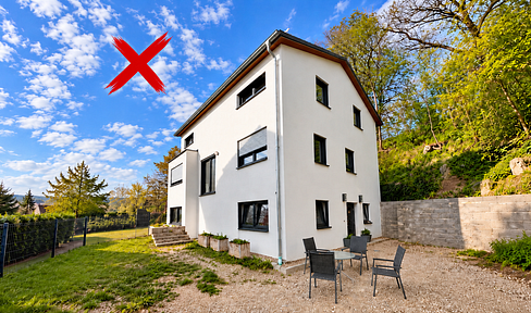 You won't find a deal this good again! This is an amazing opportunity: a detached house plus a separate apartment.