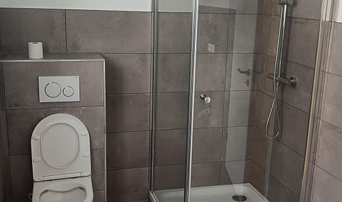 Renovated 3-room apartment with balcony and kitchen.