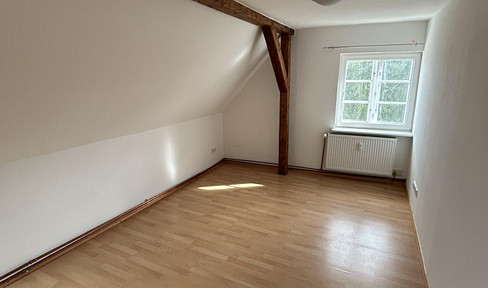 Cozy 2-room attic apartment.