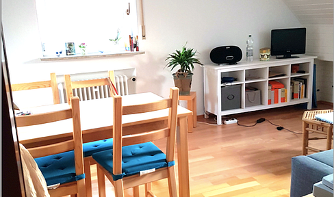Furnished studio apartment in the attic.