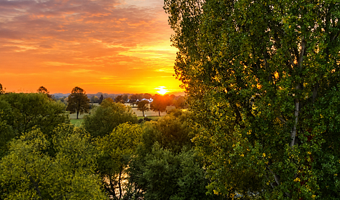 Gepflegte Dachgeschosswohnung mit Mainblick