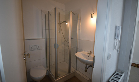 One-room apartment with a kitchenette in Schöppenstedt.