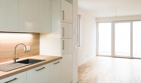 Bright 2-room apartment with a balcony and city views, fitted kitchen, underground parking space, Frankfurt-Riedberg.