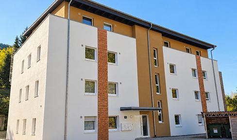 3-room apartment in the beautiful town of Nordrach.