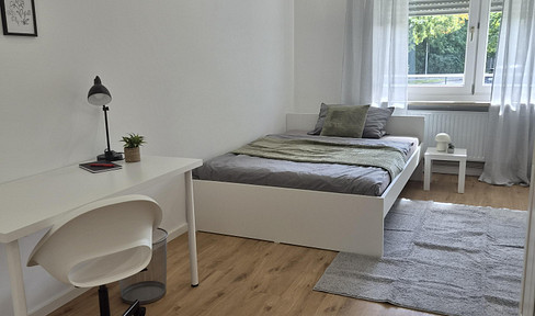 Great room in a newly formed 4-person shared apartment - First occupancy after renovation!