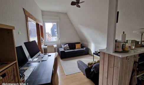 Altbauperle Weststadt - Zwei Appartements in einer Wohnung