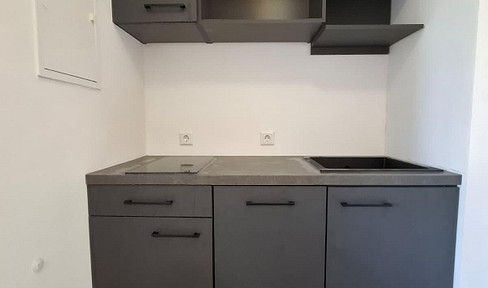 One-bedroom apartment: Brand new, never occupied after renovation.