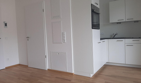 One-bedroom apartment for rent, located near the university, no real estate agent fees.