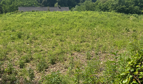 Traumgrundstück für Generationen oder Freunde: 975 m² in Witten direkt am Naturschutzgebiet