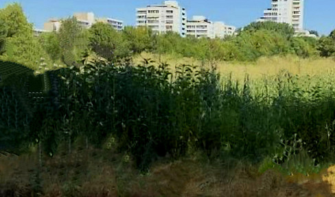 Attraktives Apartment 40qm mit Sonnenbalkon & TG in K-Junkersdorf