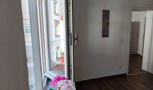 Renovated 2 1/2 room apartment in baroque gardener's house, 60 sqm, city center location