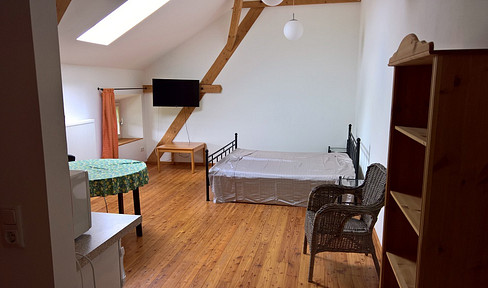 Cozy 1-bedroom apartment on a historic estate.