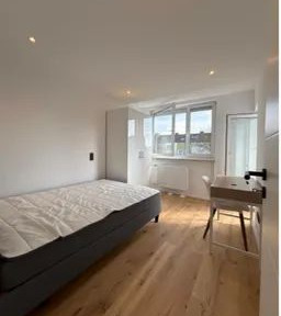 Female shared apartment seeking roommate.