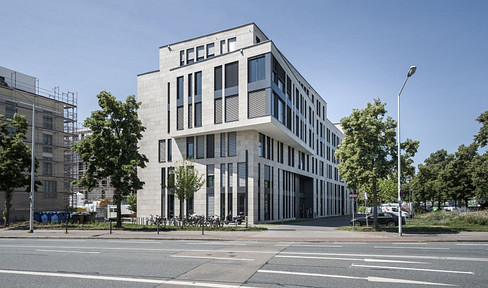 Office space for rent: 1,282 m².