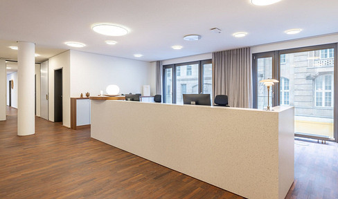 Pronájem kanceláře 4.383 m²