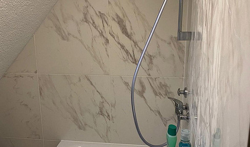 Newly renovated apartment in Bietigheim-Bissingen.