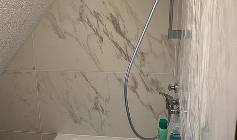 Sauber renovierte Wohnung in Bietigheim-Bissingen