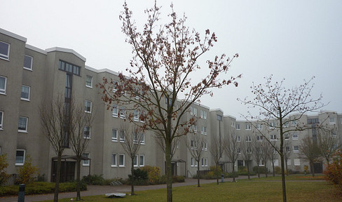 Ohne Provision: Verk. Wohnung 2 Zi. Kü, Bad, PKW-Stellplatz