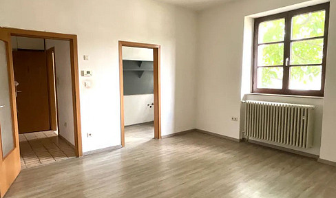 Spacious one-bedroom apartment in a central location.