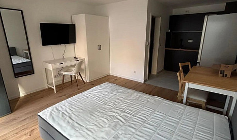 Attractive studio apartment – available immediately / Upper Construction Street 14, Nuremberg, Unit WE15 / Room 1.
