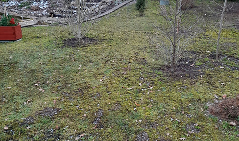Lichtentanne, property with house and bungalow.