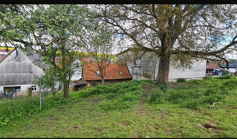Bebra-OT, Landhaus + Pferdehof